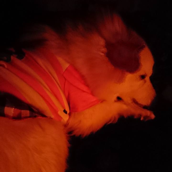 018ec0a9 ff0c 4dda ad17 25b0f2a04768 1520341325330