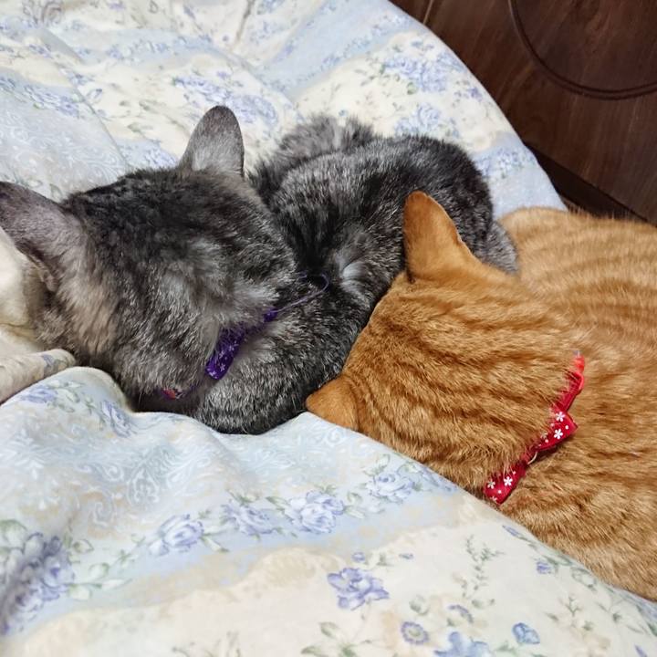 018ee0e2 5af7 4b1f 8ee8 fbb7c77f1002 1578489280064