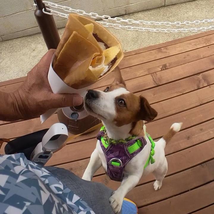 018f2fd8 6d64 4262 8efc 2567b5e222cc 1685056223090