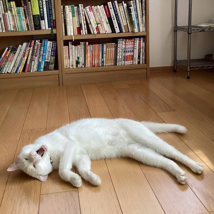 018f8f3a 0bdb 456b bda3 1865f37e3d58 1716274340572