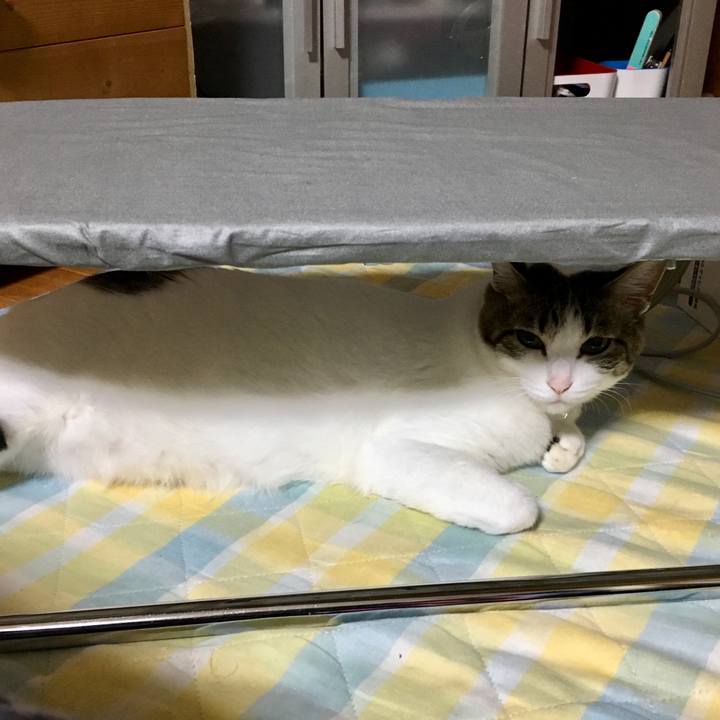 018fc3a9 7b2c 4d79 a58d 2cc16de7bc6a 1526741290116