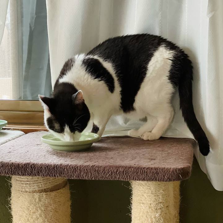 018fcf39 f7ad 4dfb b85e 721b7d46119c 1628997607816