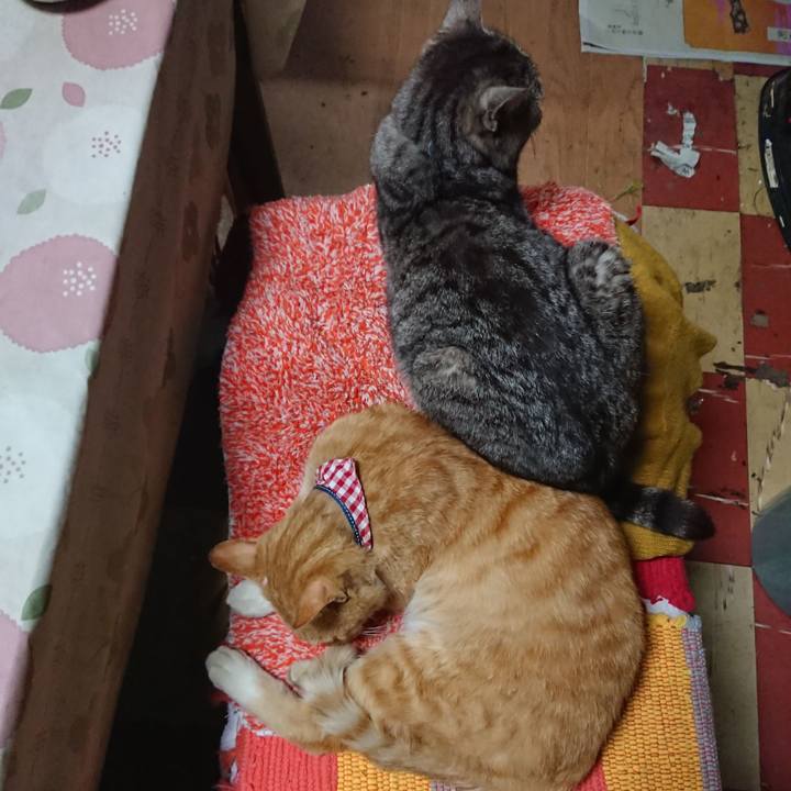 018fd351 4158 4ec0 9b52 845fed1f06b2 1558438200050