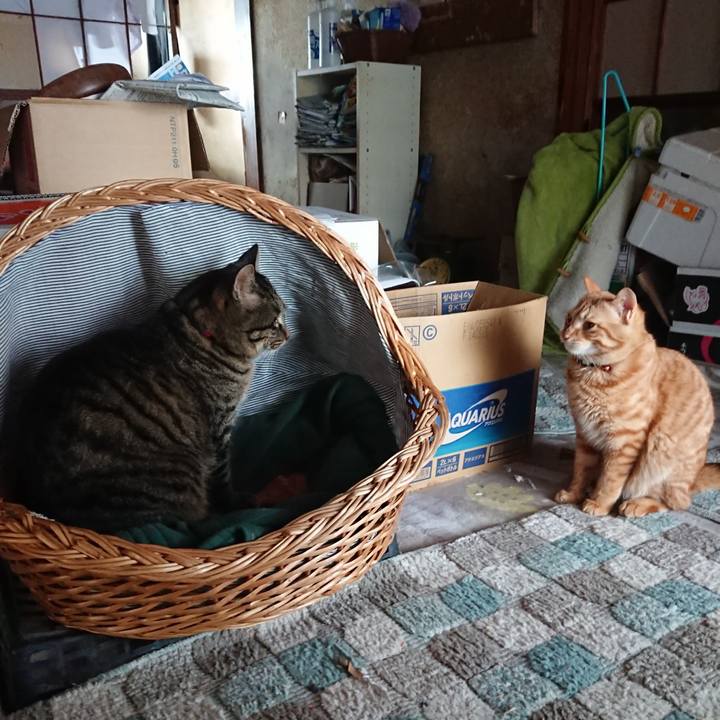 018fdc9a a42e 4cae bfb8 956c4c40c371 1642997225046