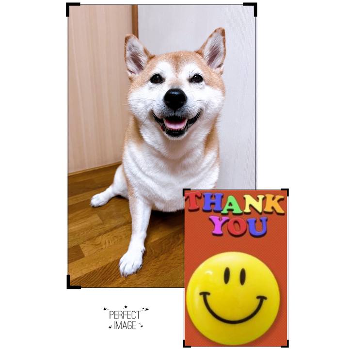 018fe44e bca9 453e 9181 dfef0d4da5f5 1702275947343