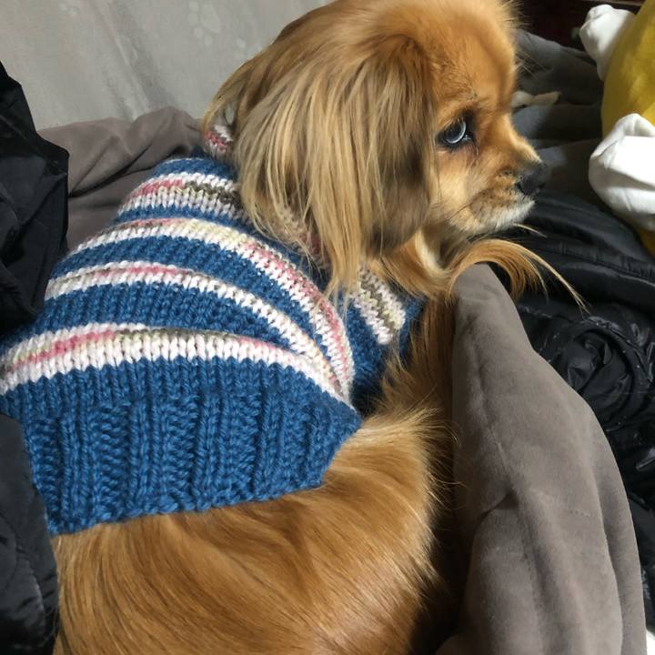 018feb34 ab2d 406e b526 69d161bb6815 1547561665226