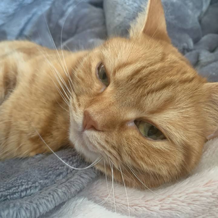 018ff5ef e069 4c17 b14f 3f375c7165fe 1673146419576