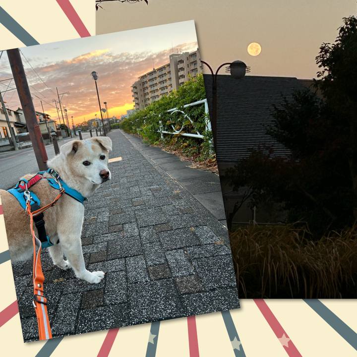 01901c25 39cb 467d a564 23e9cd207269 1701130304256