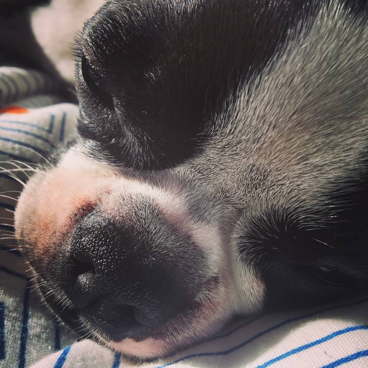 01902c42 eca5 4496 8444 b79e3d4fa6eb 1526287032928