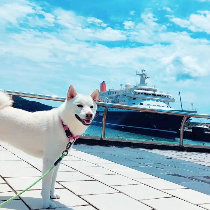 01902d87 9019 49c8 911e 9bb7db4e9392 1689951124459