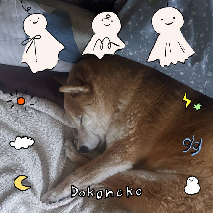 01903ecb a6ea 48a8 a7a6 7de33a5ac14c 1749470152871