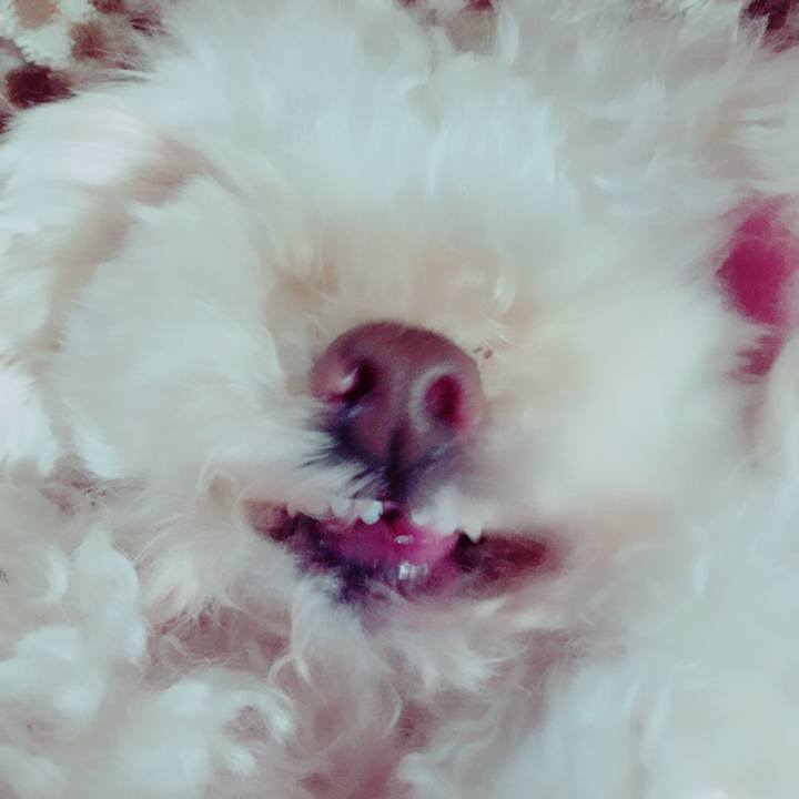 01904540 3144 4905 8ffc ebabfa451b00 1544226651710