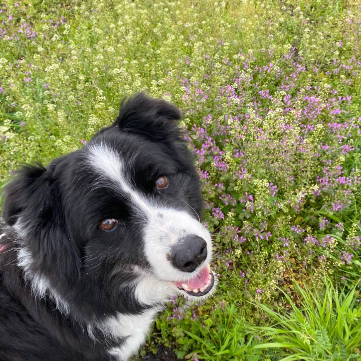 01904596 959c 427a 8ebd 62e0b808726f 1679097592201