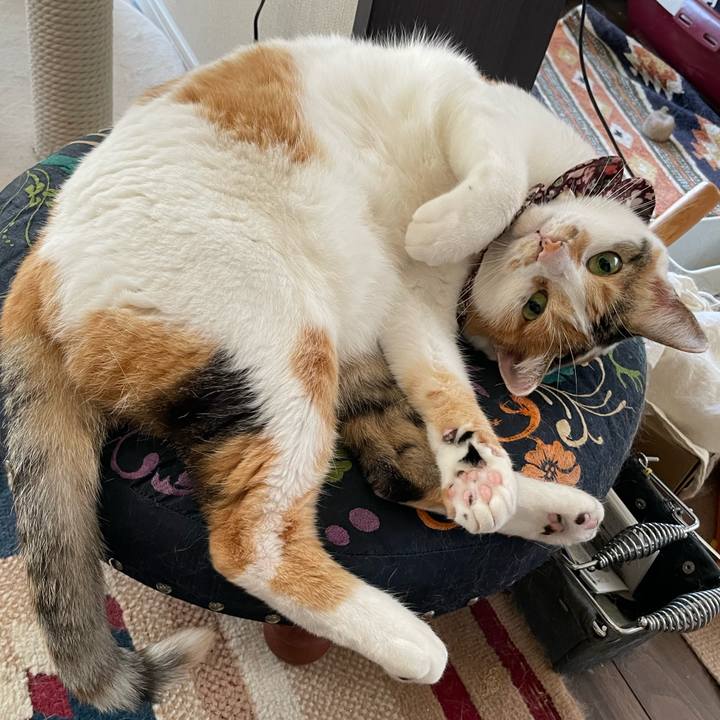 01905b0b e9c2 4bdb bca2 4846054c1a98 1757288289652