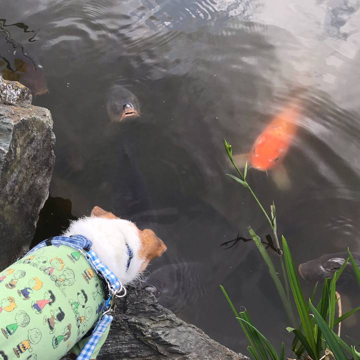 01908671 e09d 4417 a5f4 80ad87c49c79 1556958119903