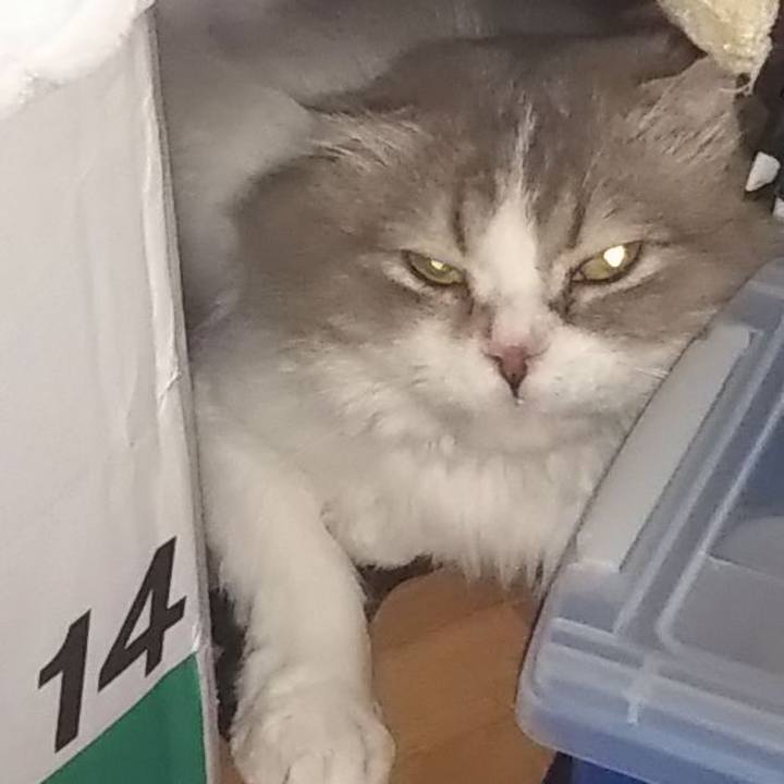 0190c8b3 fb6a 4690 903d 809135a29555 1624683173569