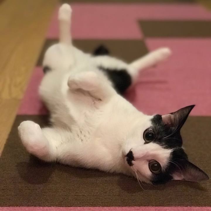 01911846 aa00 484a bfc1 04e4d5b851d2 1555858576680