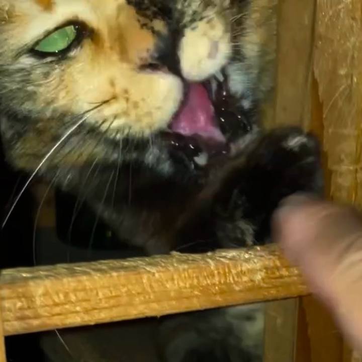 01914c81 f664 4be0 9815 15e83b59d8ef 1739131874137