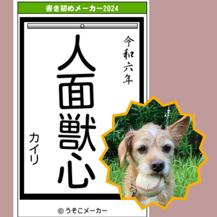 019173d1 bfe5 4330 9e7c 88f2a5534b5d 1704072883307