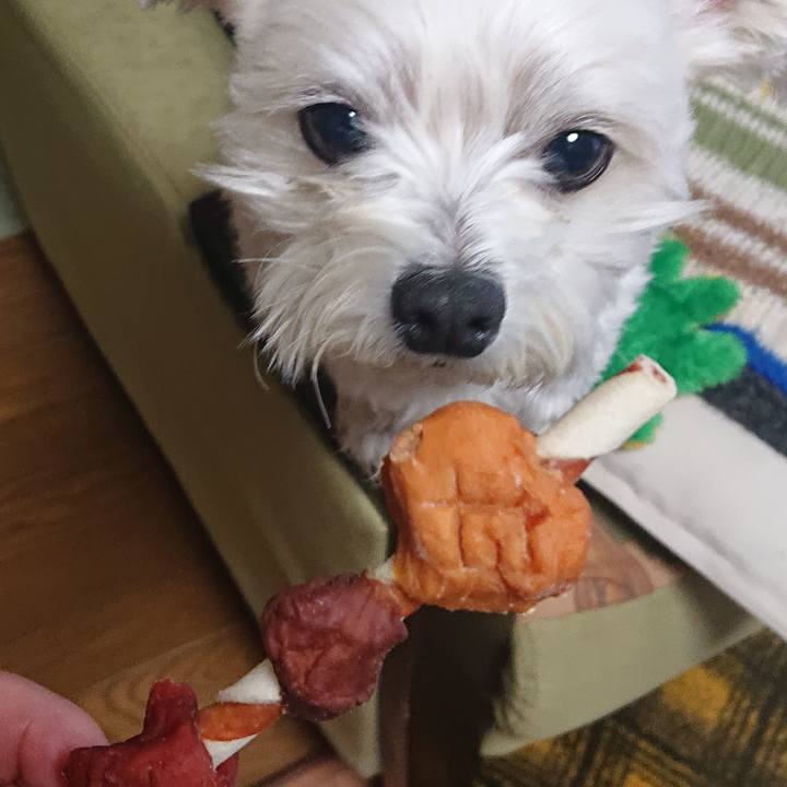 01918482 0ca7 42a8 85a6 cc58f2f51c14 1548849425240