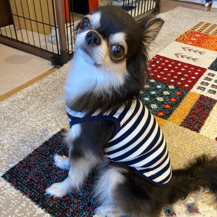 0191ddd5 66e3 4532 b34a ef93f4fd2306 1715441607736