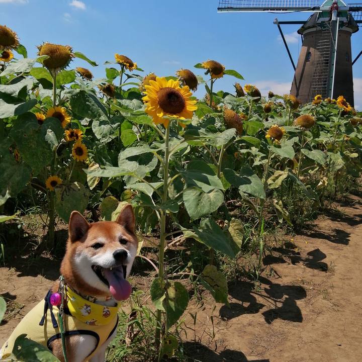 0191e248 d31f 49a2 b30b 0f1204bb4a8e 1626864483478