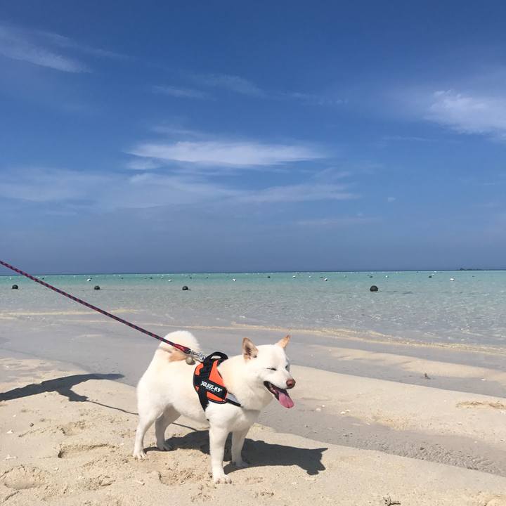 01926635 749b 46b6 a6e1 cb11596bb93b 1525161426568