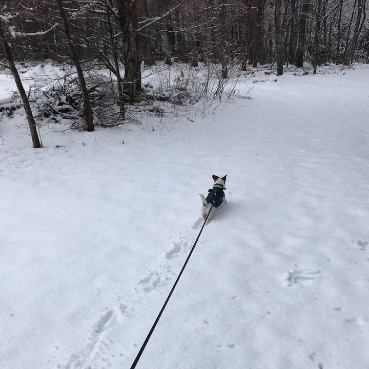 0192682e b0bd 4c21 9966 a29435eb07fd 1550458905898