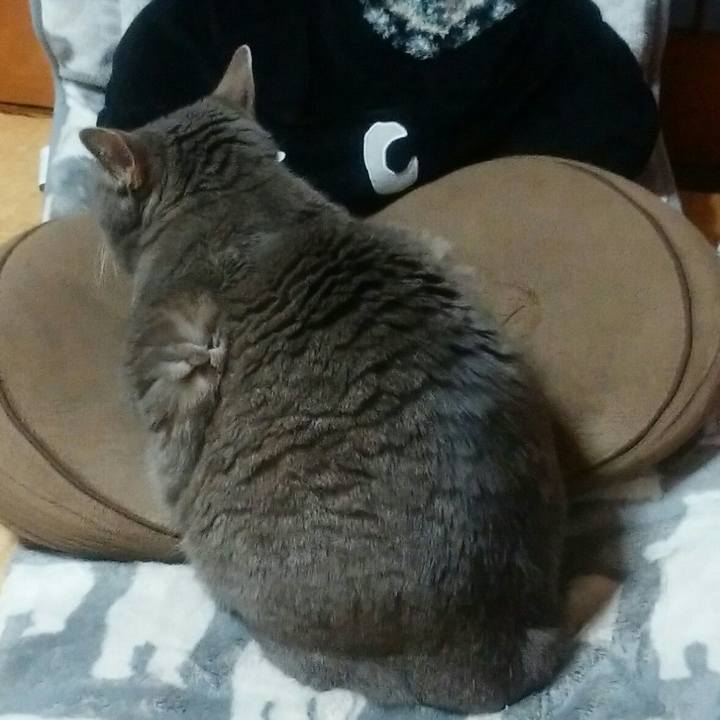 01928176 1c14 461c 8171 11bc9d905ddd 1556365333254