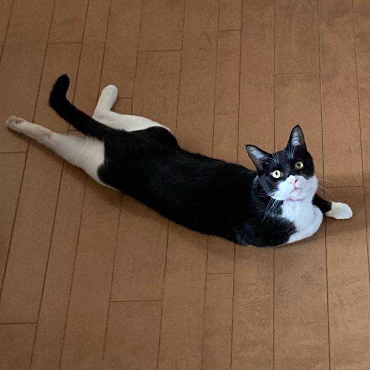 01928d49 bbb1 4fbd a8a8 e2beb1ed18bb 1620126678048