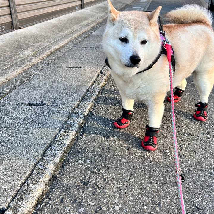 0192ceda 2a95 440f 9706 d3a1c666cd2e 1737527953435