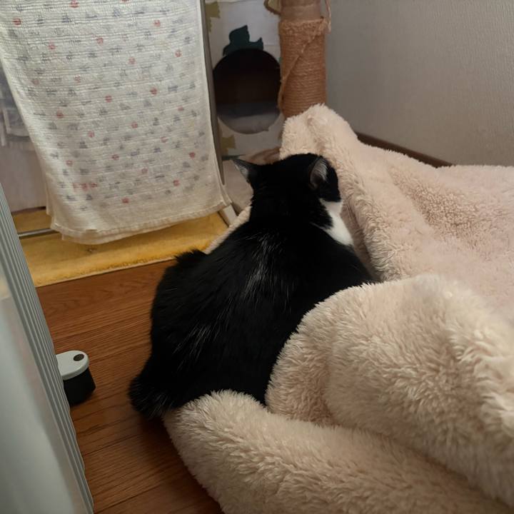 0192d5bf 25b1 472a a6c2 d502502f6f19 1774041849737