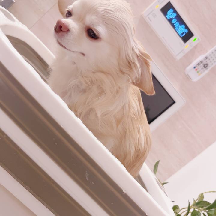 01930197 2ed2 4052 8168 96523176470c 1732624149954