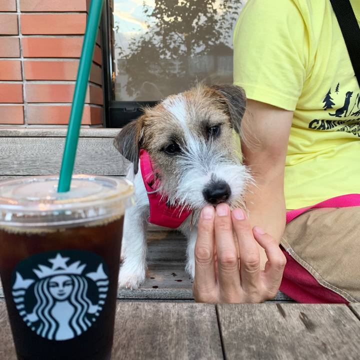 019358d5 eddf 41a5 9e80 2efcd0fbfe22 1567942240566