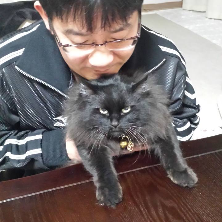 01937ce9 a051 4b73 9b29 edd5464a4c50 1517093333856