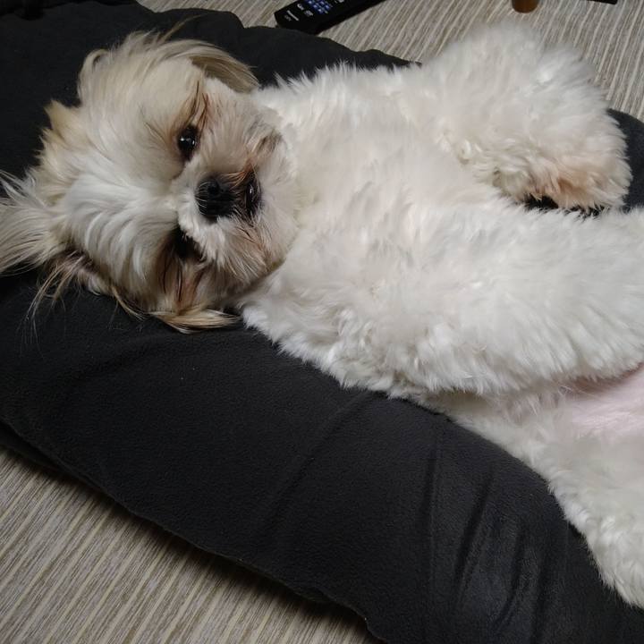 0193a39f ac4e 4a85 aad5 4cd3ae64e83e 1618492682614