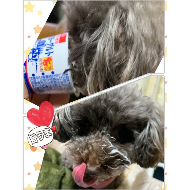 0193c398 a86f 425b bfa6 b0b1e33c2c38 1582062820647