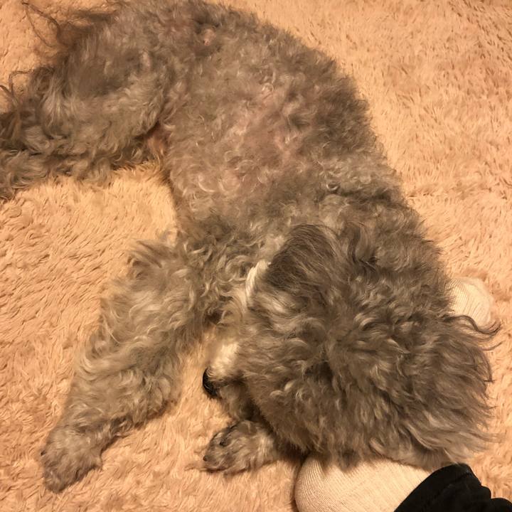 0193c426 e497 47b7 a1e8 717b00e201e9 1546770202205