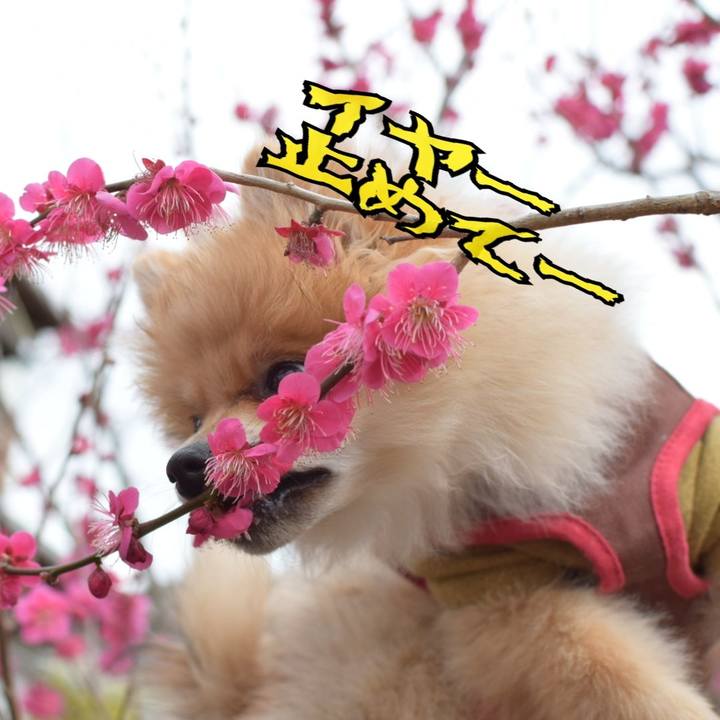 0193d278 5a2d 4caa 87b5 00075a26f594 1519041272462