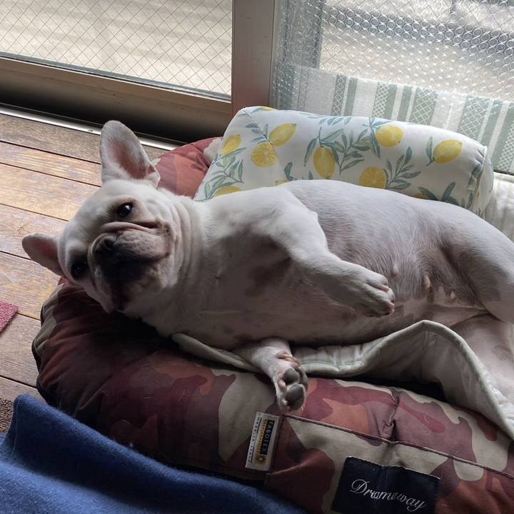 019407b2 9adc 4a4b 8d07 4ecaa3171be2 1696046638291