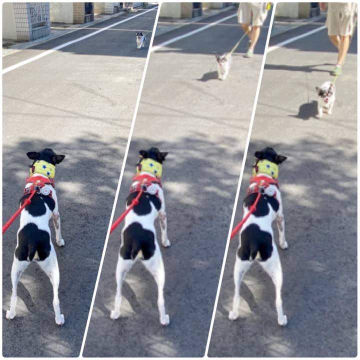 01940b30 1045 4257 a6bd 49d914bca4a3 1626569121782