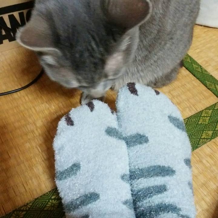 01940db6 a3f2 467f 9496 bd5133e378db 1548248375908