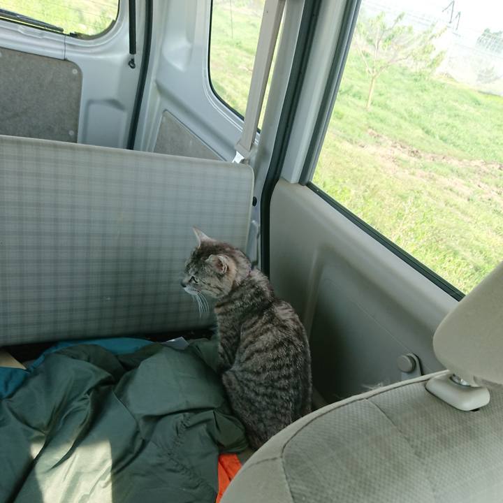 01944291 5378 4c50 afc4 7e0a2e664c2e 1590913189751