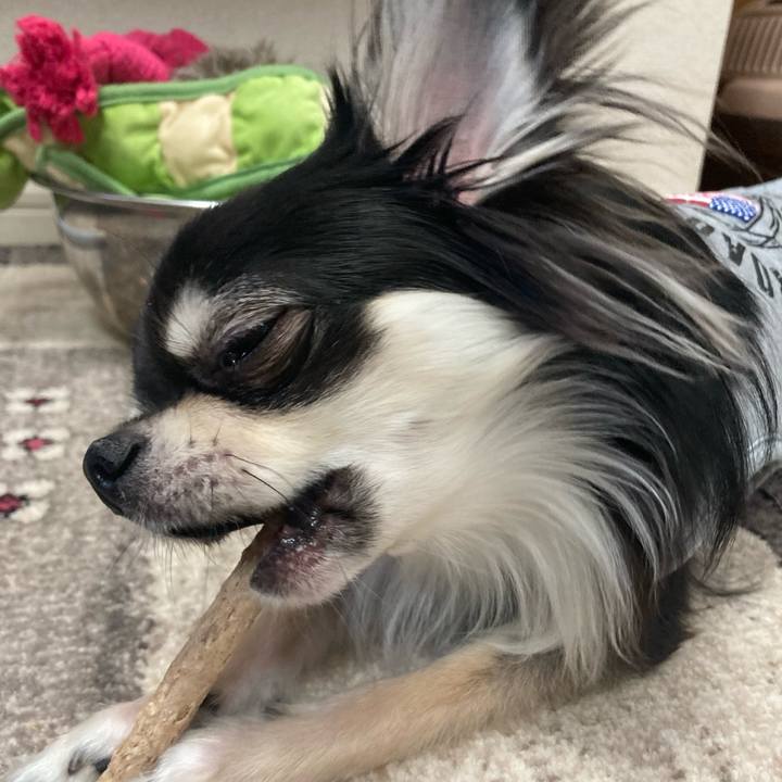 0194a2c6 bdc7 433b 832d 205238e23c7c 1613877146060