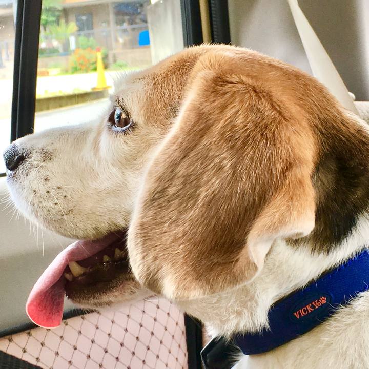 01957fd2 cd25 412f be11 e80c5c0c6241 1756416192377