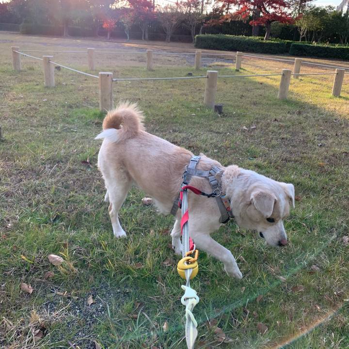 0195843e b63a 454f 88a6 0a012cfcff78 1576368285846