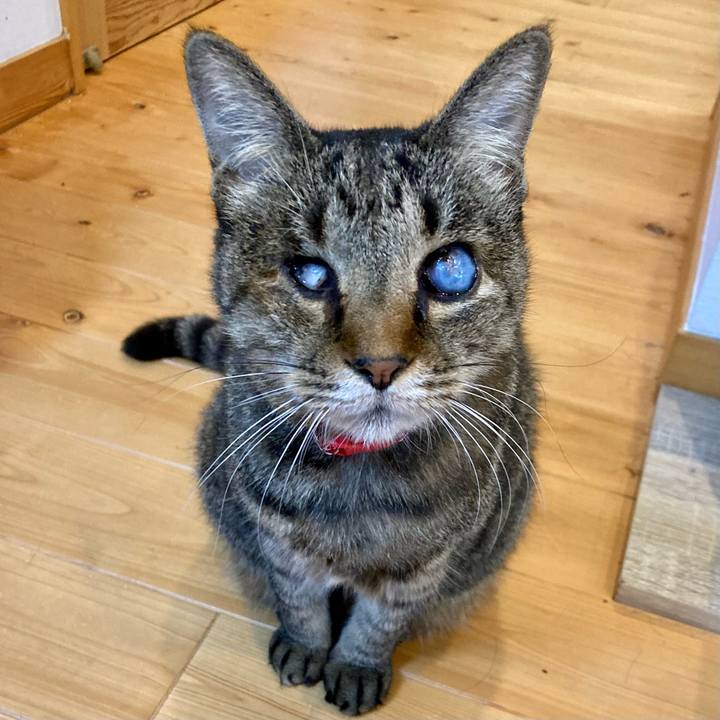 019596a1 7b7a 4415 806f 8996b7841e36 1638174433248