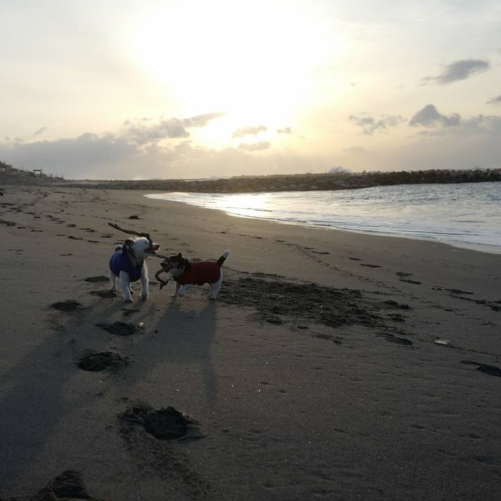 01959fe4 e03d 4a77 b3e9 7f7996fd1242 1519015444694