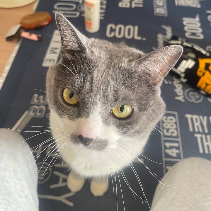 0195a283 ab92 46e8 8f2c 246fe2088cfc 1706409310931