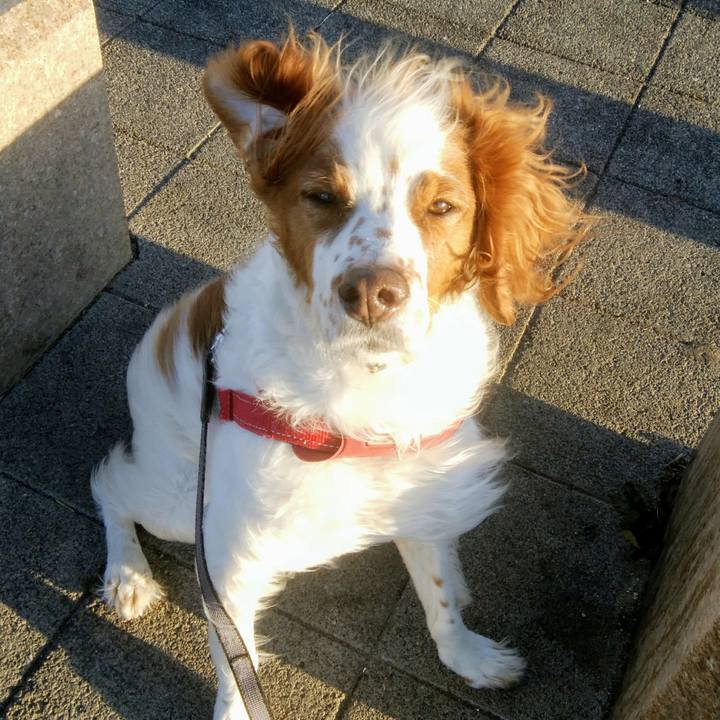 0195bcb8 2134 4ece b7ab 95aaf14acf61 1548502653623